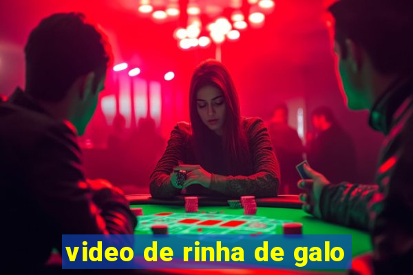 video de rinha de galo